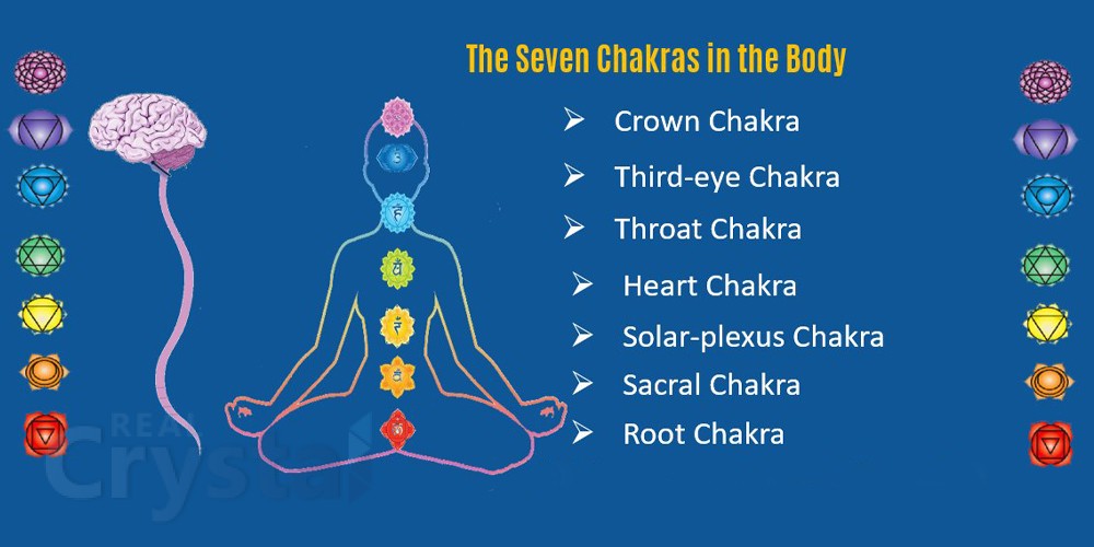 7 Chakras in a Human body Healing Meditation Chakras